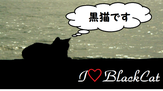 幸運を呼ぶ黒猫 性格や知られざる多くの魅力について迫る Bitomos