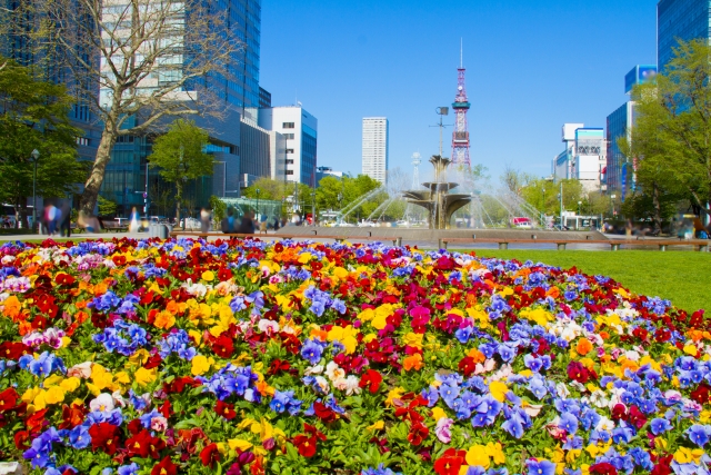 5月の札幌観光はどこがオススメ 1日で周れる主要スポットをご紹介 Bitomos