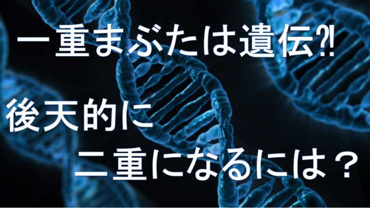 一重まぶたは遺伝で決まる 後天的に二重まぶたになった人の特徴とは Bitomos